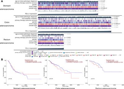 Assessment of PD-L1 mRNA expression in gastrointestinal tumors and the response to immunotherapy